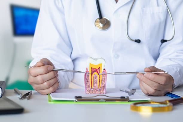 Best Urgent Dental Care for Toothache in Peru, IL